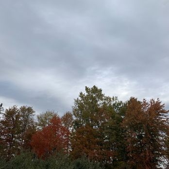 Blake's Orchard & Cider Mill - Trees in the back west orchard - Fruits & Veggies Near Me - Armada, Michigan