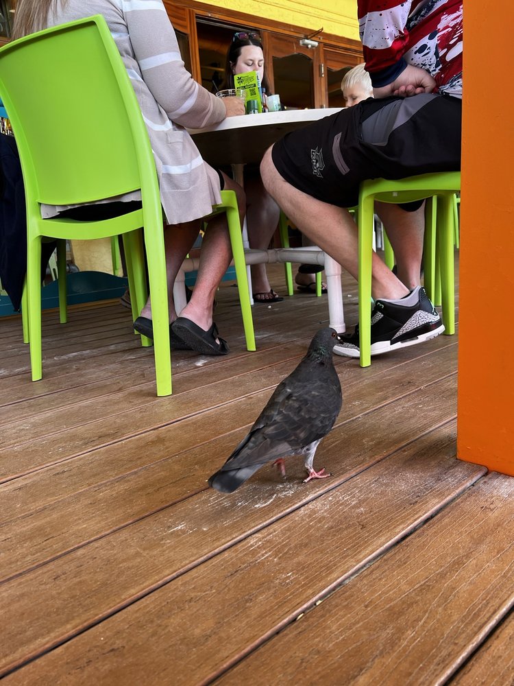 Frenchy's Rockaway Grill