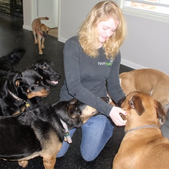 Happy Paws - Pet Training Near Me - Washington, DC, District of Columbia Happy Paws - Pet Training Near Me - Washington, DC, District of Columbia