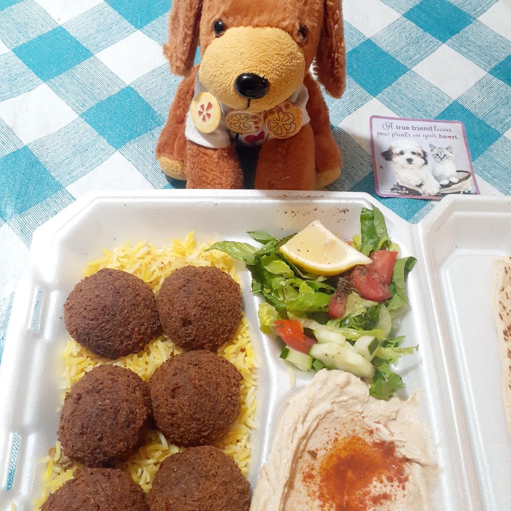 Pita Spot - Falafel plate - Mediterranean Near Me - Torrance, California Pita Spot - Falafel plate - Mediterranean Near Me - Torrance, California