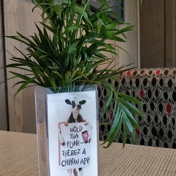 Chick-fil-A - Live plants and clean tables - Fast Food Near Me - Denver, Colorado Chick-fil-A - Live plants and clean tables - Fast Food Near Me - Denver, Colorado