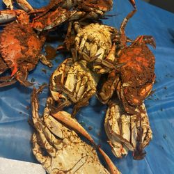 Winters Run Inn - Medium crabs