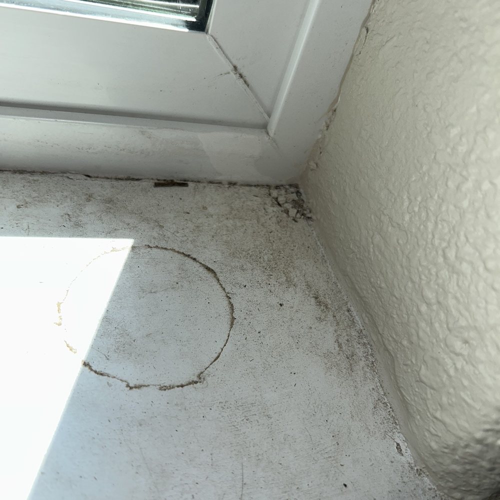 Northwest Restoration - Don't clean as they go, they leave garbage and debris everywhere. - Damage Restoration Near Me - Aurora, Oregon Northwest Restoration - Don't clean as they go, they leave garbage and debris everywhere. - Damage Restoration Near Me - Aurora, Oregon