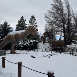 Dinosaur Park-Museum George S Eccles