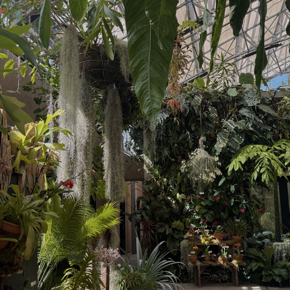 San Diego Botanic Garden - "Orchids In The Wild" - Botanical Gardens Near Me - Encinitas, California