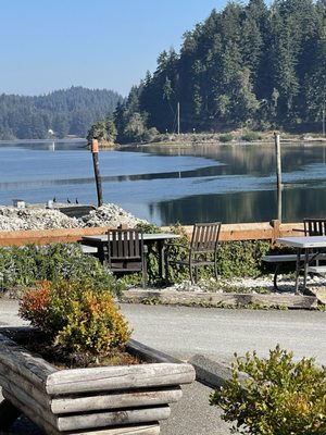 Clausen Oysters by null