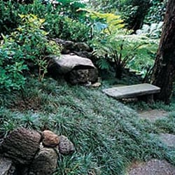 Mulkern Landscaping & Nursery - Landscape design