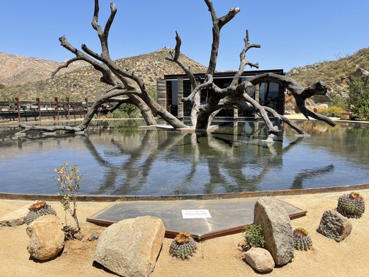 Bruma Valle de Guadalupe by null
