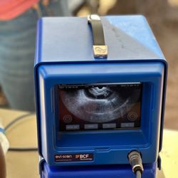 JerBear Imaging: Joyce Morris, RVT - Ultrasound machine for all animals.