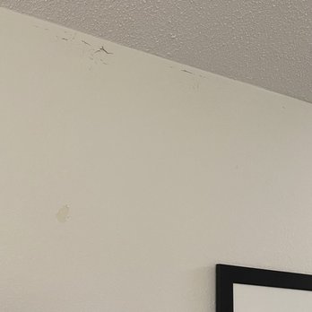 Hampton Inn Birch Run/Frankenmuth - Mold and damage - Hotels Near Me - Birch Run, Michigan
