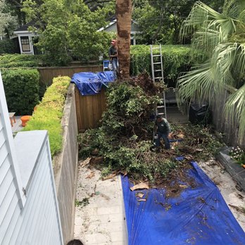 Gilbert's Tree Service - Need the end - Tree Services Near Me Gilbert's Tree Service - Need the end - Tree Services Near Me