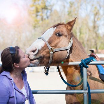 All Seasons Horse Riding - Julie and Tank - Horseback Riding Near Me - Pleasanton, California All Seasons Horse Riding - Julie and Tank - Horseback Riding Near Me - Pleasanton, California