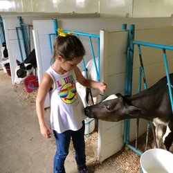 Hinchley's Dairy Farm Tours