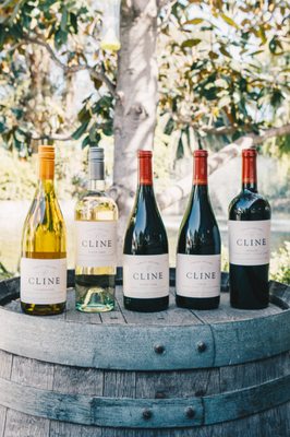 Cline Family Cellars by null