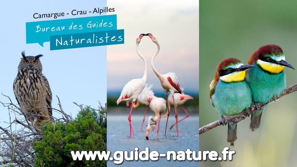 Bureau des Guides Naturalistes
