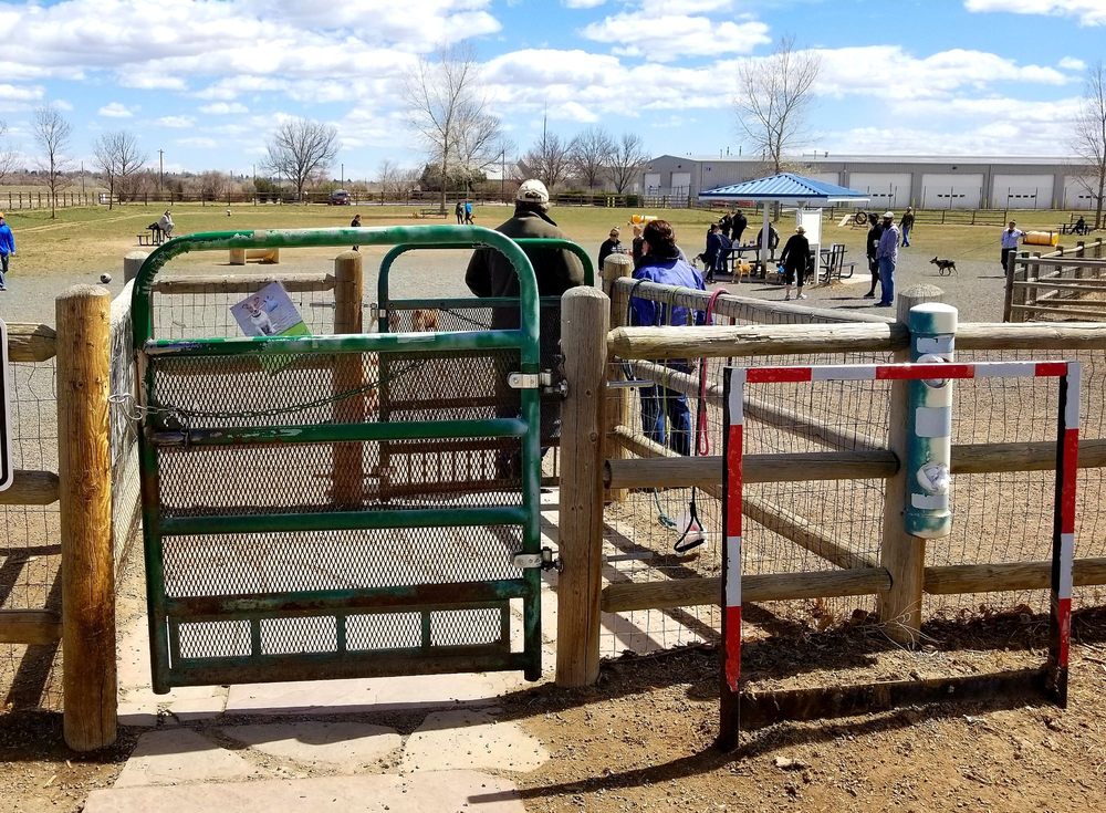 Longmont Dog Park 2 Logo