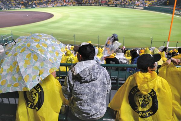 Hanshin Koshien Stadium by null