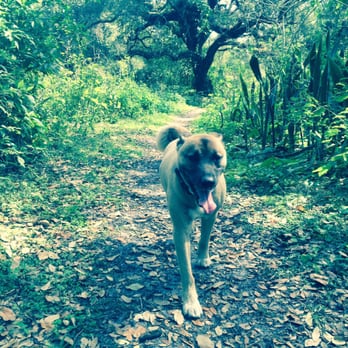 Emerald Hills Animal Hospital - Veterinarians Near Me - Hollywood, Florida Emerald Hills Animal Hospital - Veterinarians Near Me - Hollywood, Florida