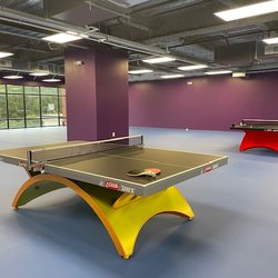 Spin X Table Tennis Club