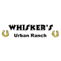 Photo of Whisker's Urban Ranch Pet Daycamp