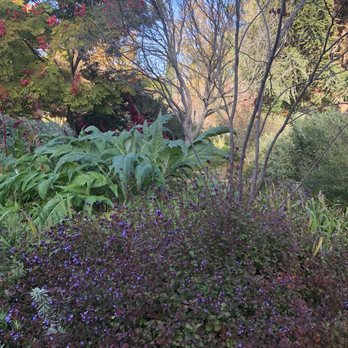 WPA Rock Garden - Fall Splendor! - Botanical Gardens Near Me - Sacramento, California