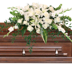 Eternal Spring Florist