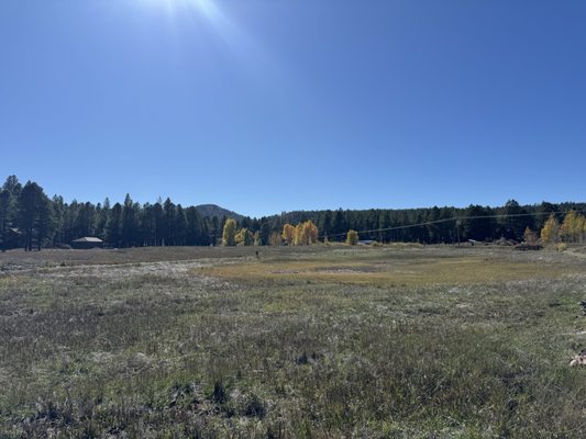 The Arboretum at Flagstaff by null