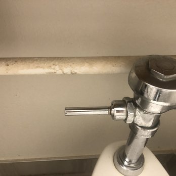 Clarion Hotel & Suites - Dirt by toilet handle - Hotels Near Me - Hamden, Connecticut Clarion Hotel & Suites - Dirt by toilet handle - Hotels Near Me - Hamden, Connecticut