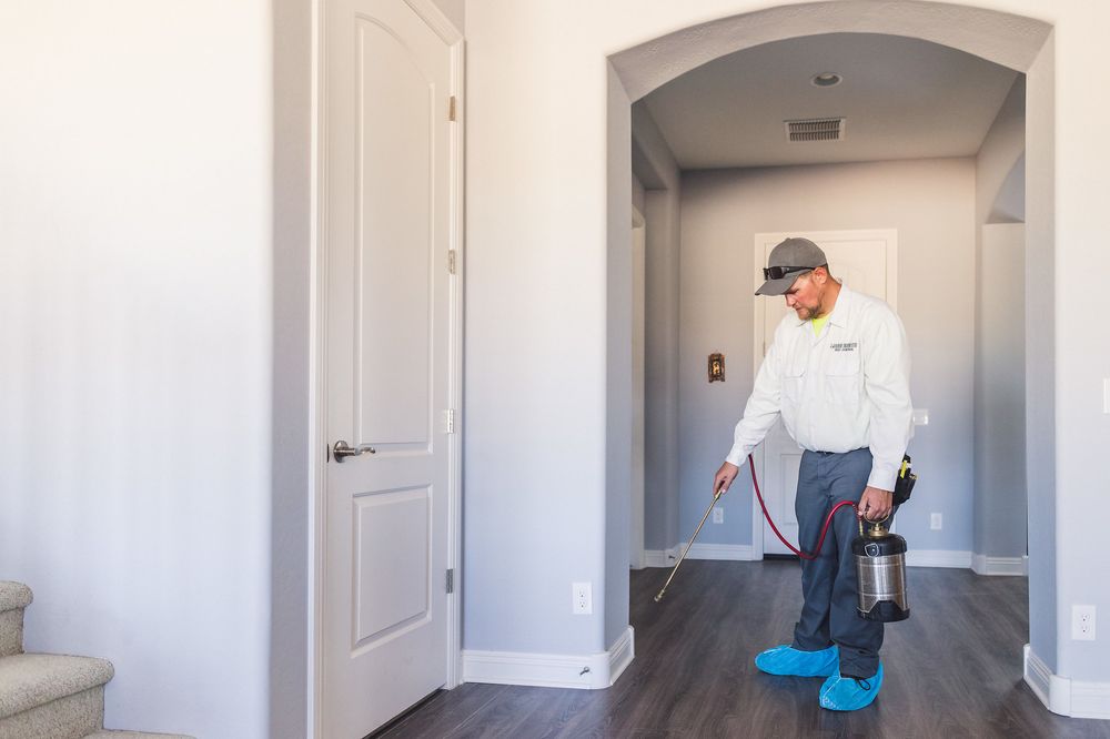 Iron Mantis Pest Control - Pest Control in Mesa