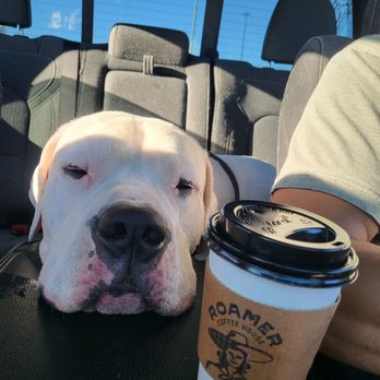Roamer Coffee House - Coffee & Tea Near Me - Sparks, Nevada Roamer Coffee House - Coffee & Tea Near Me - Sparks, Nevada