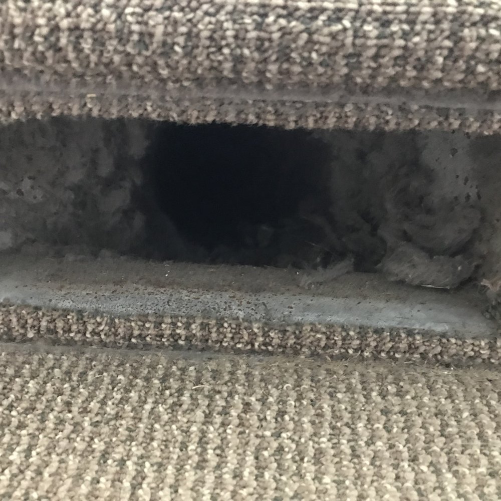 Kees Travel - Icky, Icky....and some returns don't even have filters in them. - Vacation Rental Agents Near Me - Point Harbor, North Carolina Kees Travel - Icky, Icky....and some returns don't even have filters in them. - Vacation Rental Agents Near Me - Point Harbor, North Carolina