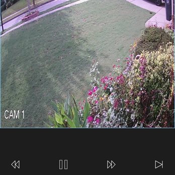 TruGreen Lawn Care - 10:54.51 - no truck - Tree Services Near Me - Suwanee, Georgia