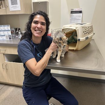 Petco - My cat with Jazmine Nunez-Mikulin, DVM - Pet Stores Near Me - Denver, Colorado