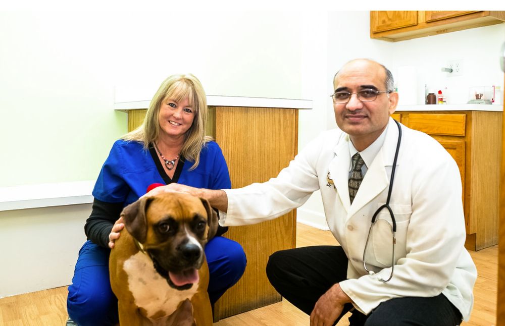 GENTLE CARE VETERINARY CLINIC Updated August 2024 20 Reviews