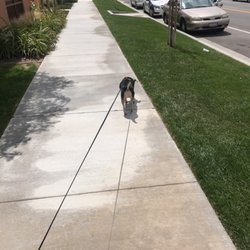Tempo at Riverpark by Apartment Management Consultants - Nice area to walk your dog.