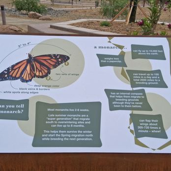 South Mountain Activity Complex - About the monarch - Parks Near Me - Phoenix, Arizona