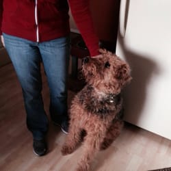 See Spot Run On 21 - Sophie