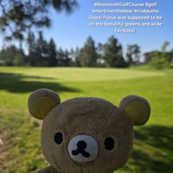 There's plenty of trees and wildlife here! No traffic noise! #RooseveltGolfCourse #golf #mortimerthebear #rilakkuma