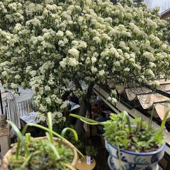 Jardines Alberto - Love the plants - Spanish Near Me - Granada, GR