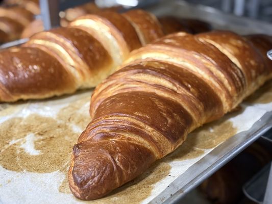 Chicago Gourmet Wholesale Bakery by null