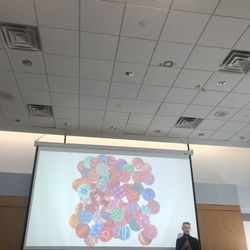 Nassau Community College - Ceiling , lights, and colorful pattern on screen