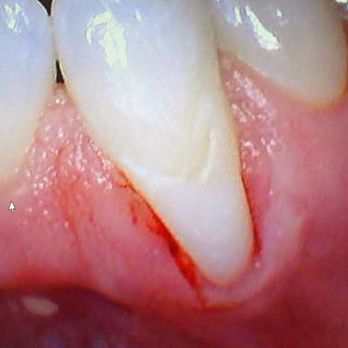 Seza Barsamian, DDS - Cosmetic Dentists Near Me - Los Alamitos, California