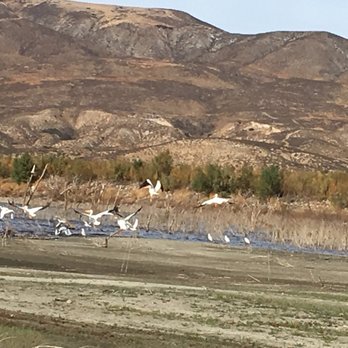 Vail Lake Resort - Campgrounds Near Me - Temecula, California Vail Lake Resort - Campgrounds Near Me - Temecula, California