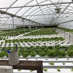 Red Acres Hydroponics