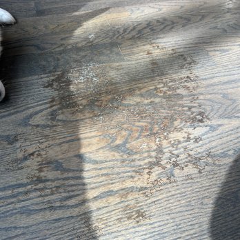 Ada Hardwood Flooring - Stain - Flooring Near Me - Des Plaines, Illinois