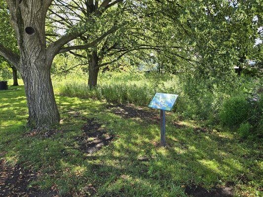 The Sculpture Park by null