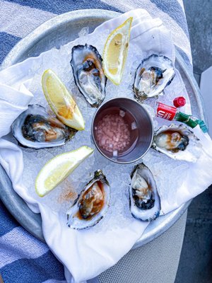 The Pool House by null