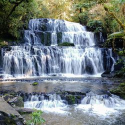 Purakaunui Falls