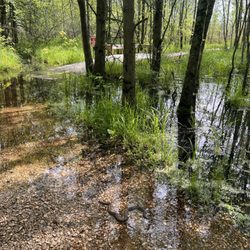 Beanblossom Bottoms Nature Preserve