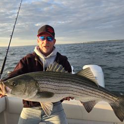 Kingfisher Fishing Charter - Big Striped Bass